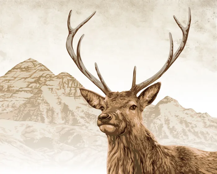 Stag illustration | Animal style gallery