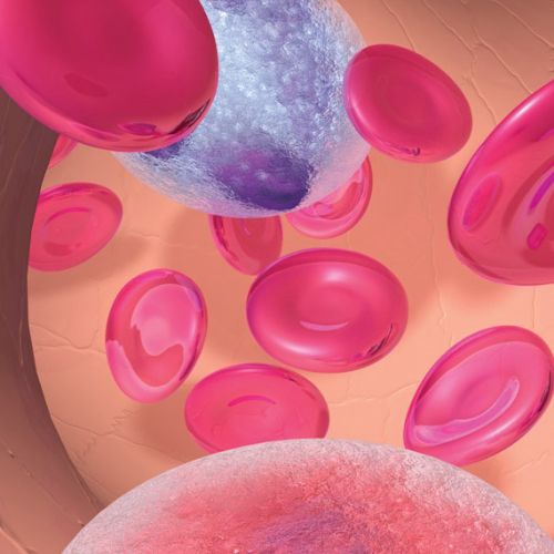 An illustration of  blood cells in artery
