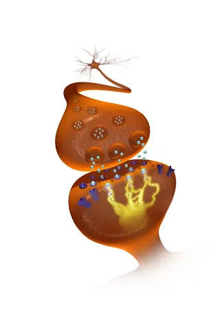 Uma ilustração de neurotransmissores na fenda sináptica