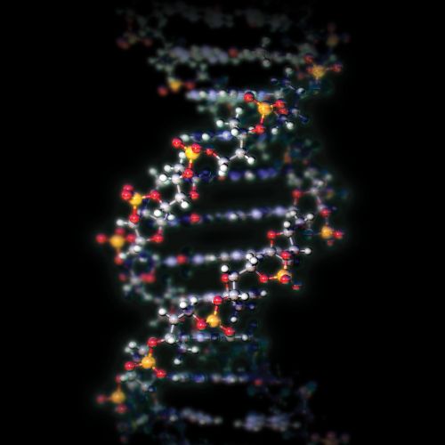 An illustration of DNA