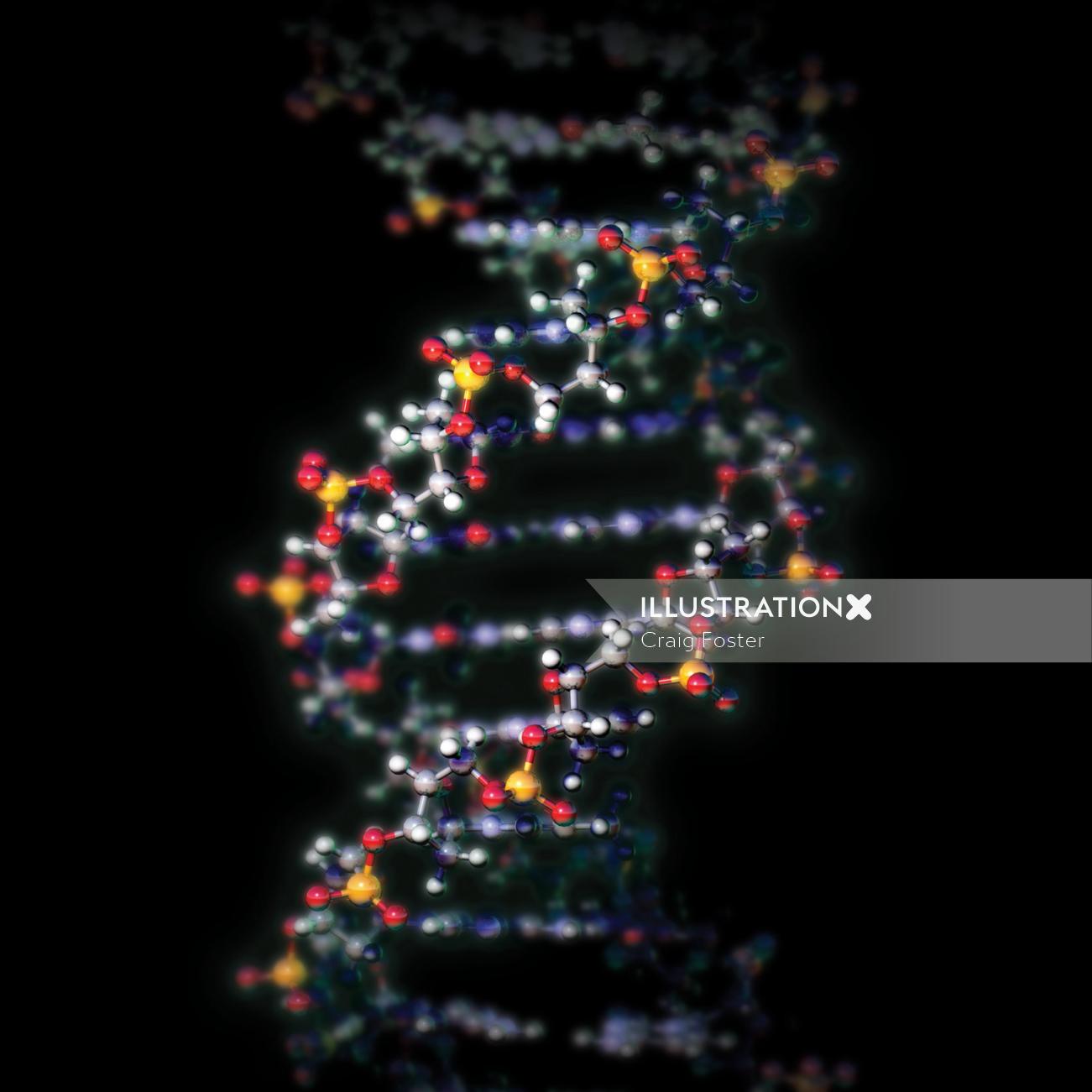 Uma ilustração do DNA