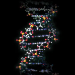 Uma ilustração do DNA