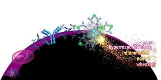 Allergic Cascade illustration by Craig Foster