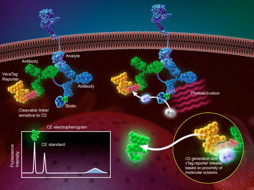 Une illustration de la technologie des protéines