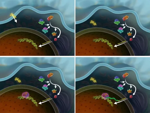 conceptual illustration of DNA sample