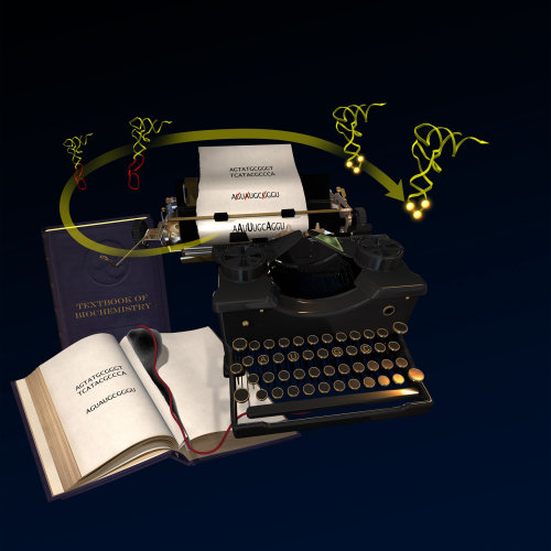 Une illustration de la couverture de la machine à écrire bleu h