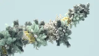 Growing plants in an animated GIF