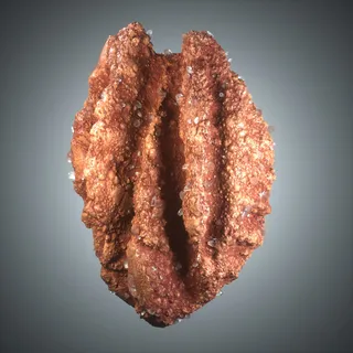 Cinnamon pecan praline depicted photorealistically