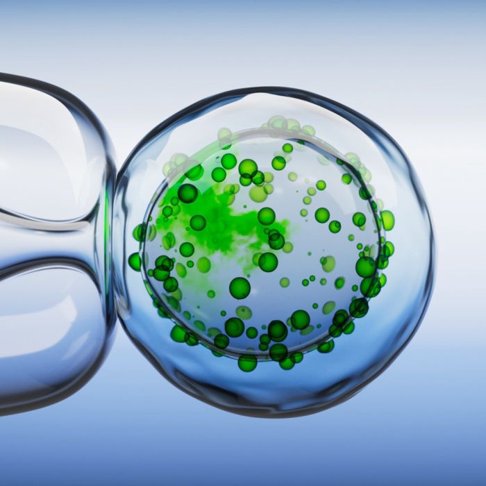 Pipette and Cell gif illustration