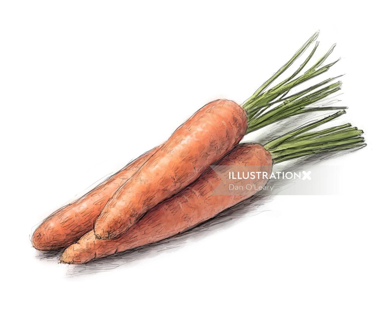 Arte digital de cenoura vegetal