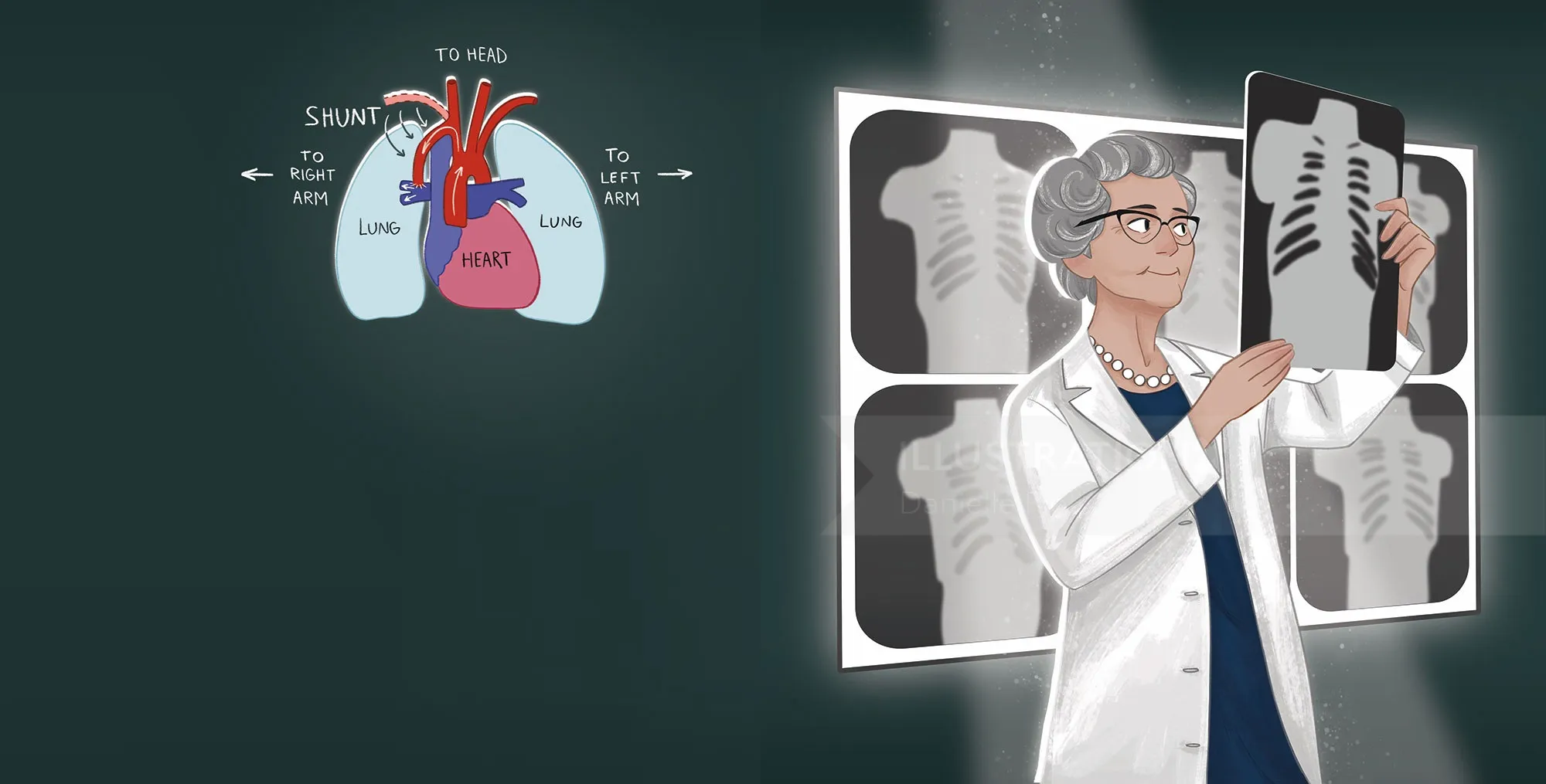 Illustrated children's book from the Science Wide Open series