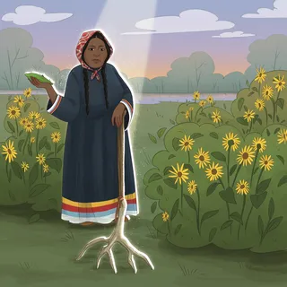 Visual history of female botanists through art