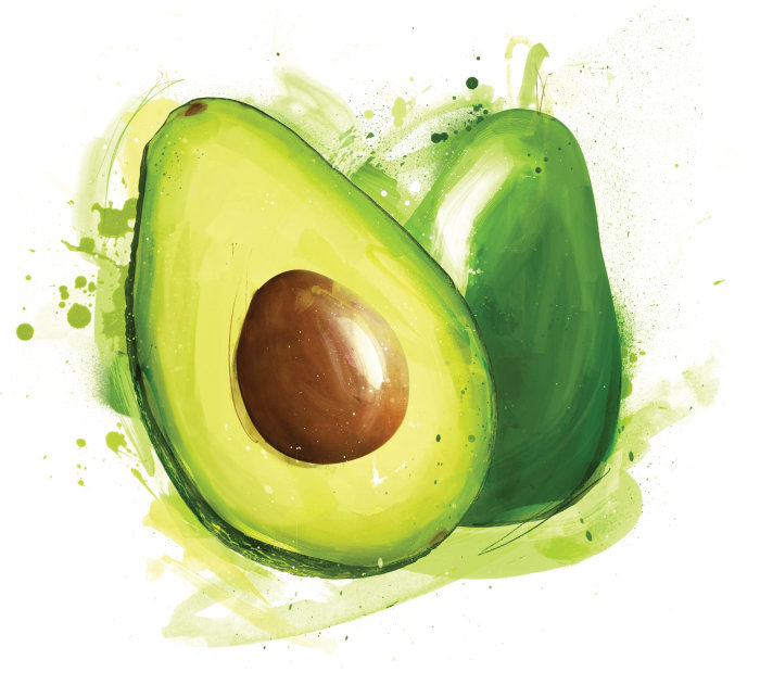 Realistic painting of Avocado fruit