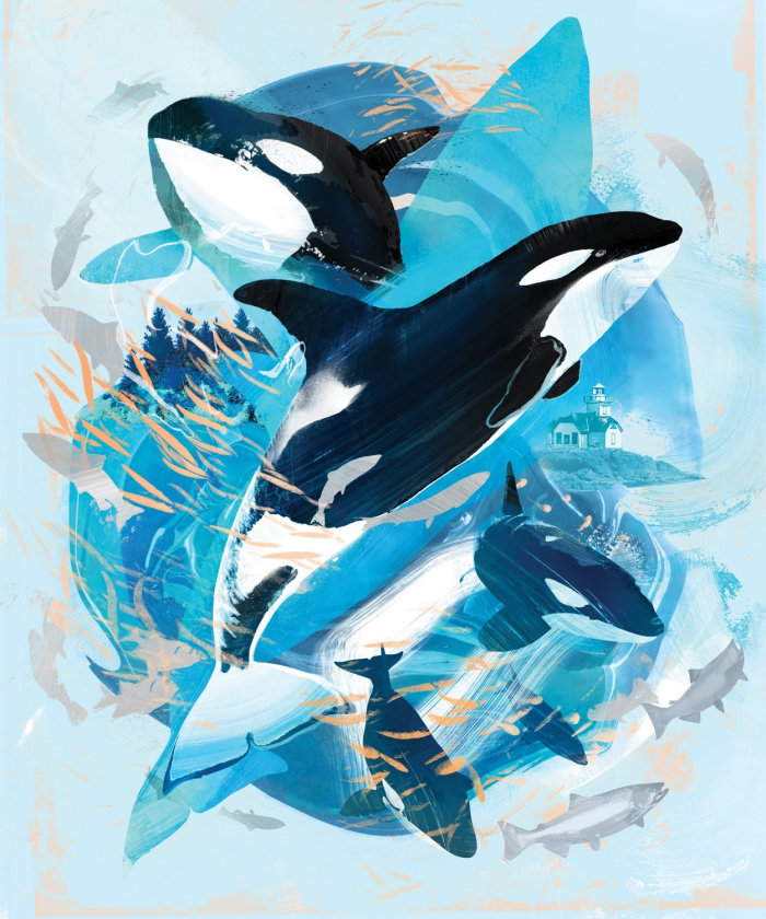 Artwork promoting whale conservation for Seattle Aquarium
