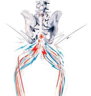 ilustración de la columna vertebral de la columna vertebral del hueso médico. Impulsos eléctricos que envían señales desde el cerebro.
