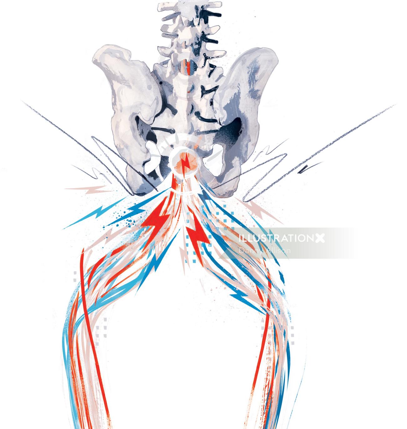 medical bone spine spinal column back illustration. electric impulses sending signals from the brain