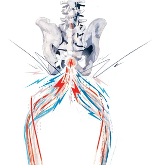 medical bone spine spinal column back illustration. electric impulses sending signals from the brain