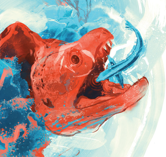 Ilustración del libro de Danny Allison sobre las relaciones simbióticas de los peces.
