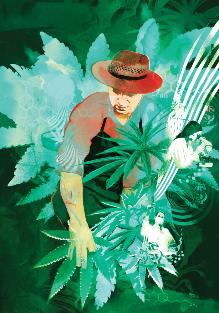 Capa do Reader&#39;s Digest de maconha medicinal CBD Weed