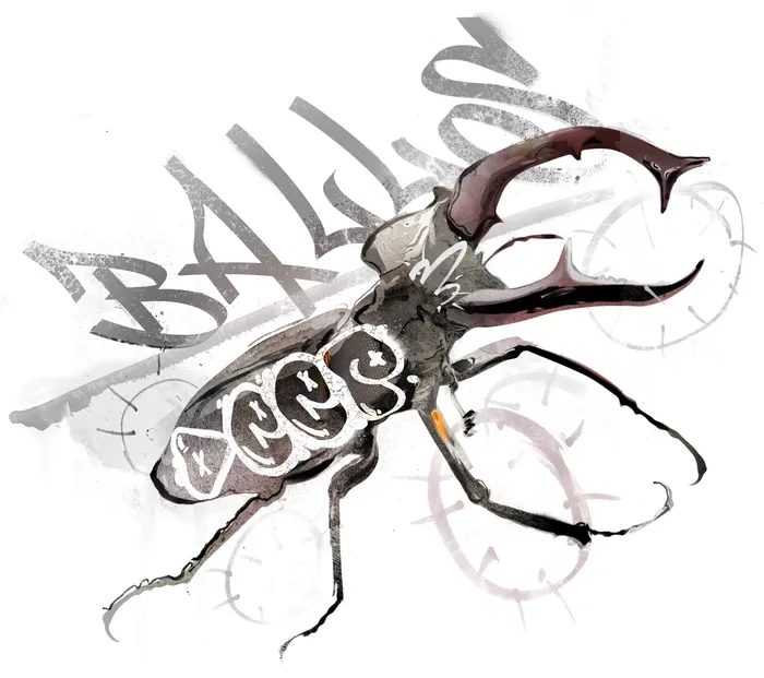 Animals Black and White of a Bug Ballos