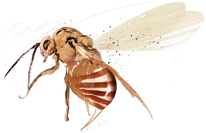 Watercolor illustration of a wasp by Danny Allison