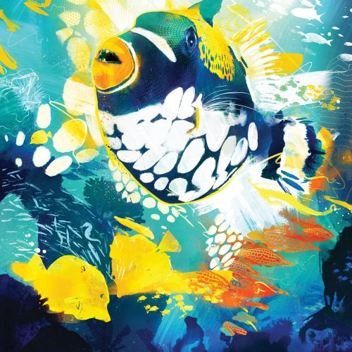 Vibrant tropical fish swimming underwater with smaller yellow fish