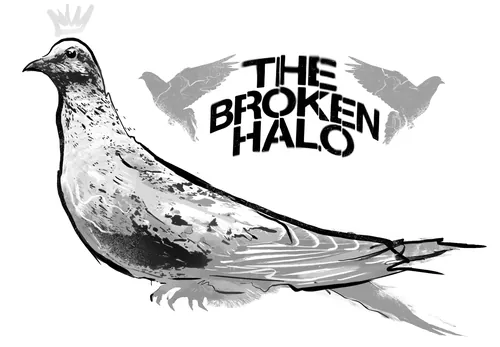 Black and white street art pigeon with strong ink textures by Danny Allison