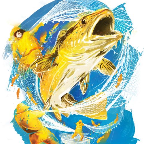 Danny Allison illustration of a golden fish leaping above fishermen