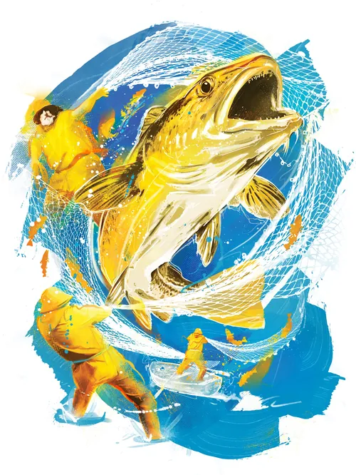 Danny Allison illustration of a golden fish leaping above fishermen