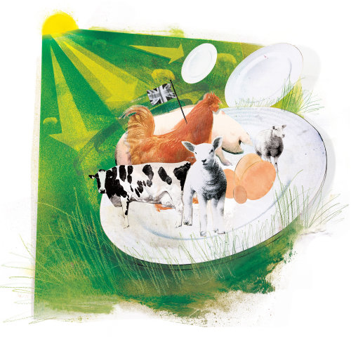 Animales, gallinas y vacas sentados juntos, hierba verde, rayos de sol