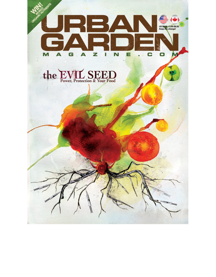 Evil Seeds, red color fruit, roots in black color, text in the background