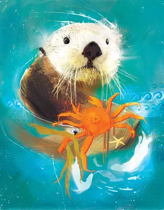 otter crab sealife hunting seal waves water ocean 