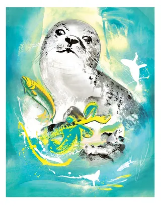 Watercolor Portrait illustration of Seal