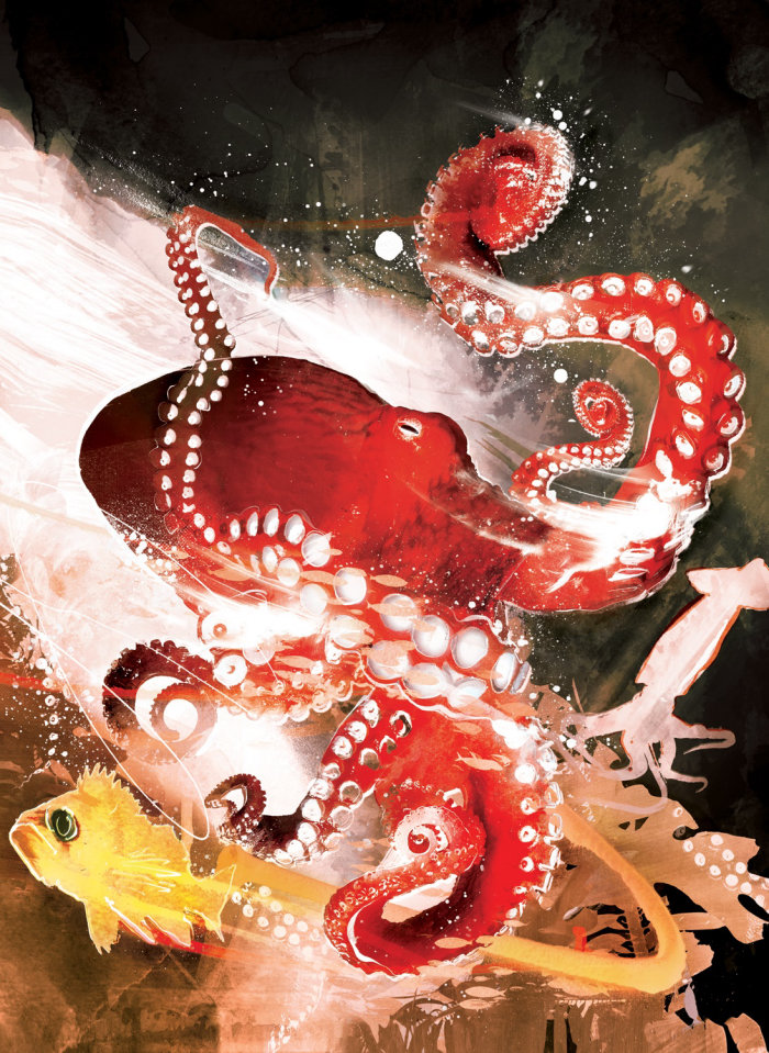 Octopus nouveau à l&#39;aquarium de Seattle
