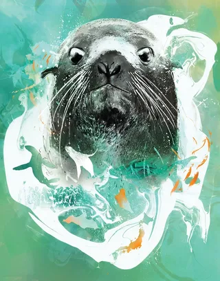 Portrait for Seattle aquarium