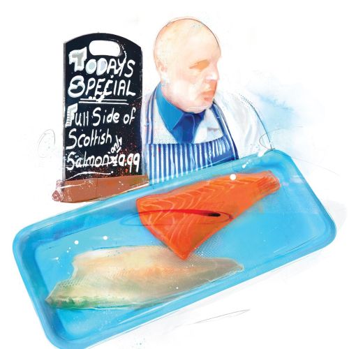food, fish, portrait, food illustration, fillet, salmon, food illustrator, waitrose, fishmonger,