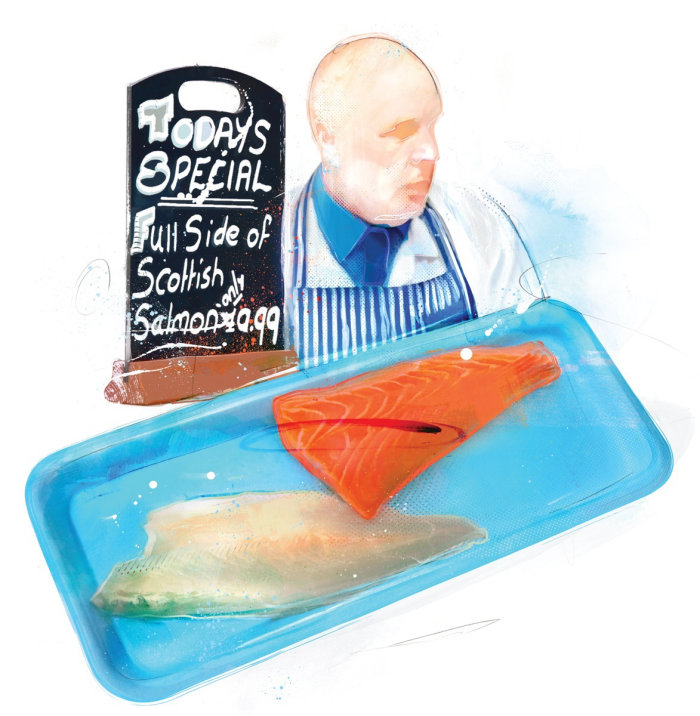 Nourriture, poisson, portrait, illustration alimentaire, filet, saumon, illustrateur alimentaire, Waitrose, poissonnier,