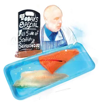 food, fish, portrait, food illustration, fillet, salmon, food illustrator, waitrose, fishmonger,