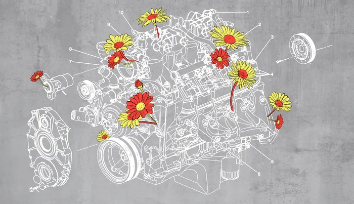 Inforgraphic Editorial