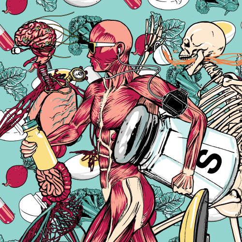 Anatomy illustration showing muscles, skeleton, brain, and pills by Davi Augusto