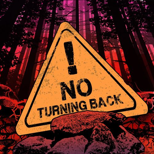 Warning sign reading 'No Turning Back' in a forest by Davi Augusto