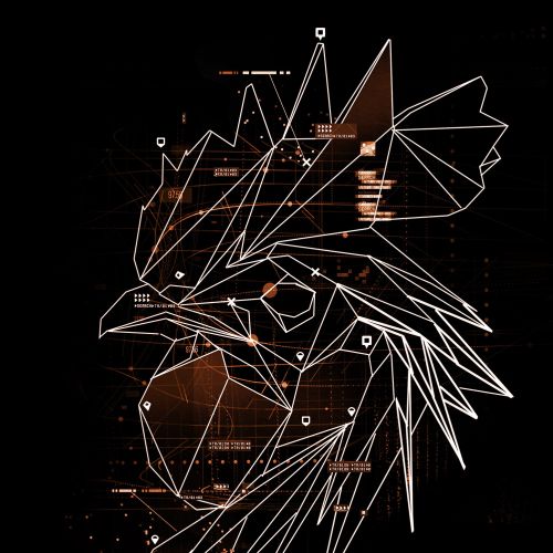 Geometric eagle head digital artwork with sharp lines by Davi Augusto