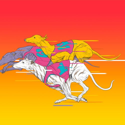 Vibrant artwork of greyhound dogs racing