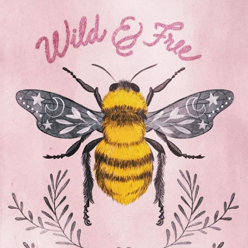 Honey Bee illustration