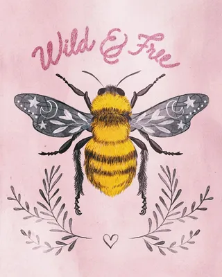 Honey Bee illustration