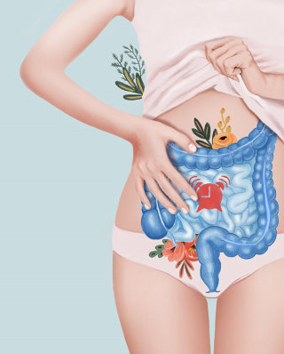 Ilustração médica da função intestinal 