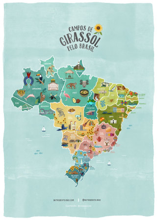 Campos De Girassol Pelo Brasil map illustration