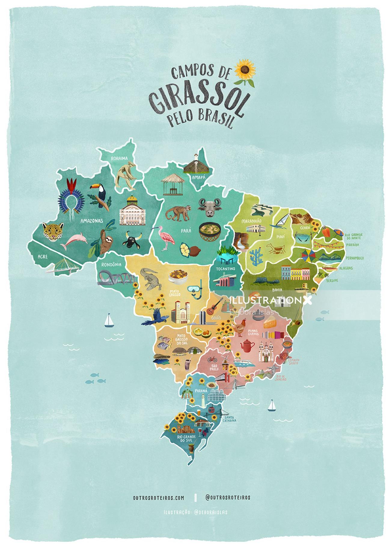 Campos De Girassol Pelo Brasil map illustration