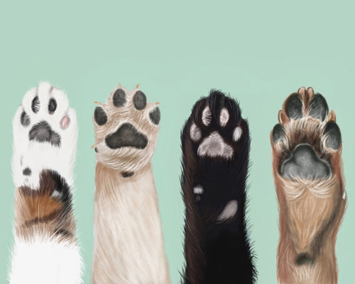 Ilustración de patas de perro animal