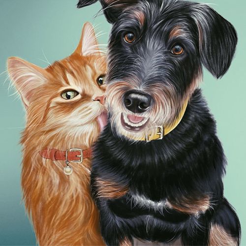 Digital painting of a Dog and Cat friendship